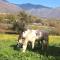 Casa Rural Hosteria Cantarranas - Cuacos de Yuste