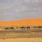 Nomada Desert Camp - 梅尔祖卡