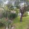 Bungalito Luzmira