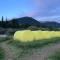 Karkyra Yurt Glamping