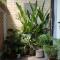 Glory Hue Homestay