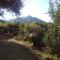 Monte Capilla