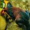 Periyar Green Bed & Breakfast