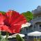Hibiscus Suites - B - Gouvia
