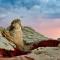 Upscale Family Home in Kanab with Gym Pool Red Rock Views - كاناب