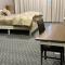 Apartment in Ajman - 阿吉曼