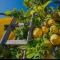 Sicilian Garden