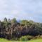 Tullah HideAway