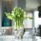 The Vacation, Cozy Static Caravan in Newquay - Newquay