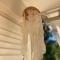 Studio Baya en bord de mer - 圣安尼