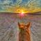 Cumin Home - Tagadirt Alkadi Cumin Home - Tagadirt Alkadi