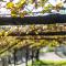 Apartments Burgunderhof - تيرمينو