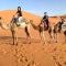 Bivouac Camel Trips - 梅尔祖卡