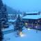 Laax Rancho Studio Apartment - Laax