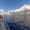 Yonegan Central Maui Getaways - Wailuku