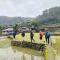 Banaue Lodge and Resto - 巴纳韦