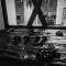 Fifty Shapes - Nesher