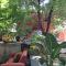 Ibrahim Garden Hostel