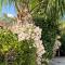 LE CAROUBIER splendid 3 bedrooms bungalow