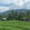 Beji Ayu Villas Sidemen - 希德门