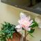 41 New! Warm & Lovely Townhouse - Feel at Home - كوينسي