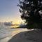 Beach de rêve de moorea