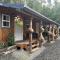 talkeetna villas and tours