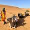 Sahara Horizon Desert Camp - 梅尔祖卡