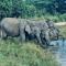 Nature lovers Safari & Resort
