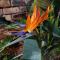 Onverwacht Garden Flat - Bloemfontein