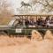 Elandela Private Game Reserve and Luxury Lodges Pty Ltd - Hoedspruit