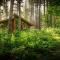 Blackwood Forest Cabins - Forest Holidays