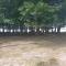 Bos Chalet Huize Vriendschap - Hattemerbroek