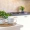 Holiday Home Lu Nibaru 2 by Interhome