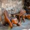 Talizeti Home - Adults Only
