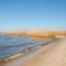 Holiday Home in Nowe Warpno near Harbor