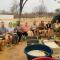 Abenab Lodge & Tours cc - Grootfontein Abenab Lodge & Tours cc - Grootfontein