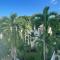 Hummingbird Ocean Lookout -7 Mins to Beach Fun - Очо-Ріос