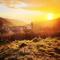 A desire for Bohemia, well-being and massages! - Grendelbruch