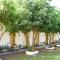 The Bamboo Tree Transit Hotel
