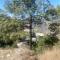 Aditya Homestay Dalhousie