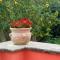 La TERRAZZA sul GIARDINO