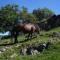Holiday Park Zelenkovac