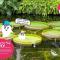 LOW COST RESORT MANZA BEACH （旧：北海荘）