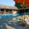 Lonops Gay Paradise