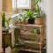 CALMAPIANTA home for green lovers