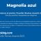Magnolia azul