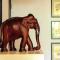 Petit Elephant