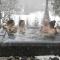 Front RIVER private BEACH 2 HOT TUBS 15 p SAUNA - Labelle