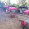 Eastdee Camping Ground